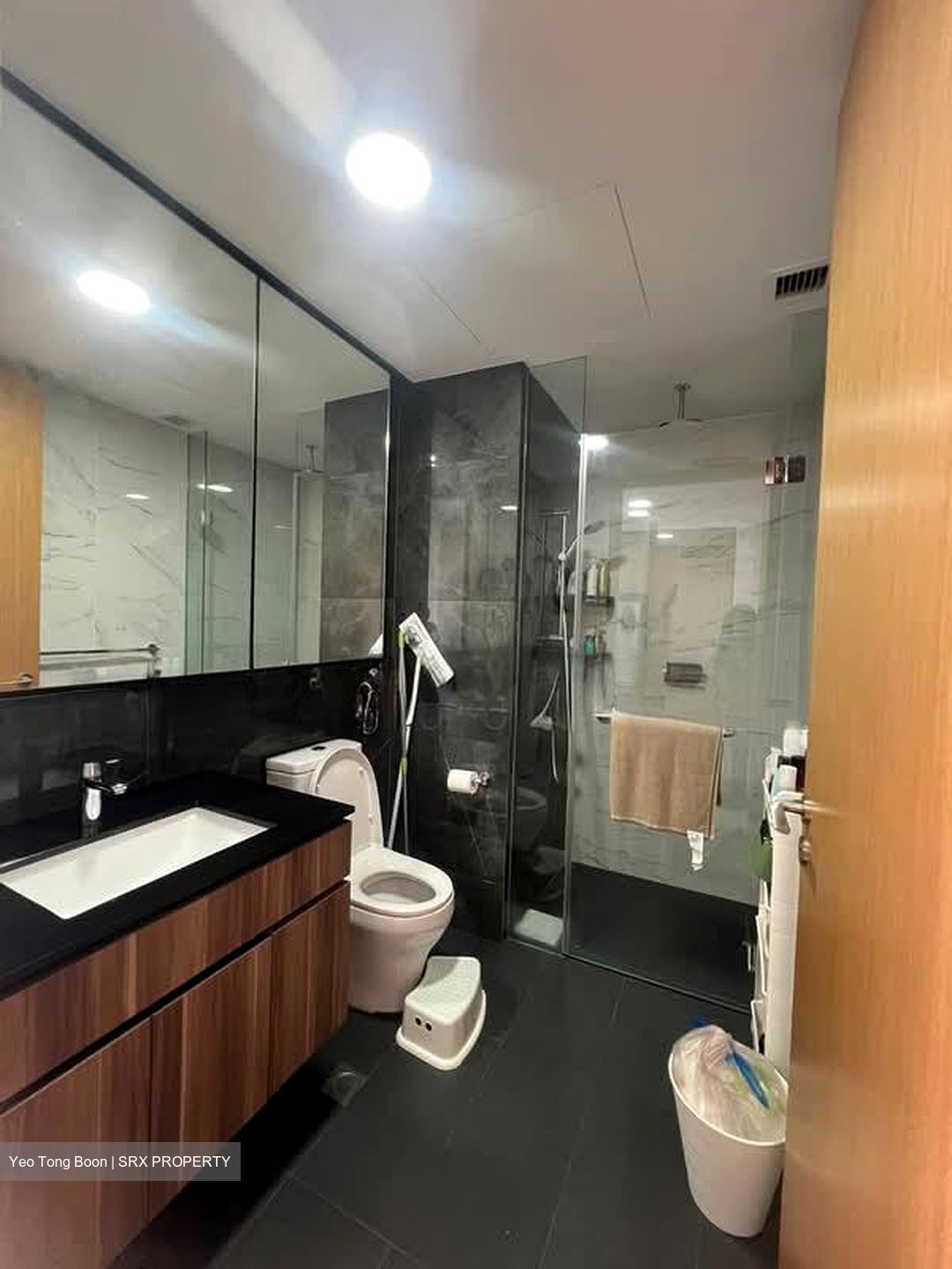 The Verandah Residences (D5), Apartment #608900211